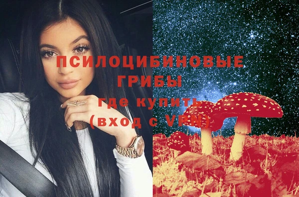 PSILOCYBIN Дмитровск