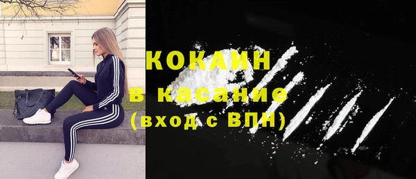 крисы Дмитров