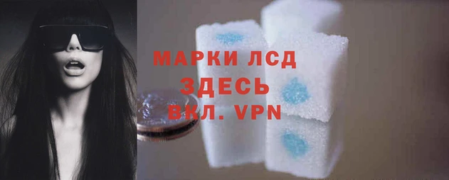 крисы Дмитров