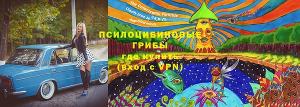 крисы Дмитров