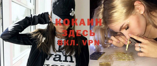 крисы Дмитров