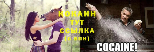 PSILOCYBIN Дмитровск
