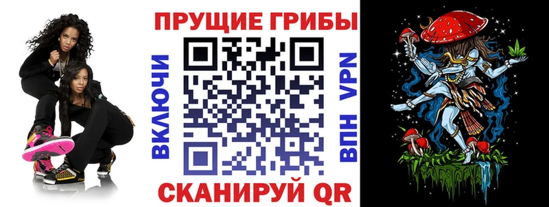 Галлюциногенные грибы GOLDEN TEACHER  Купить  Шиханы 